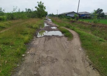 Miriis Jalan Provisinsi Sepanjang 2’5 KM Rusak Parah, Penghubung Indramayu – Cirebon