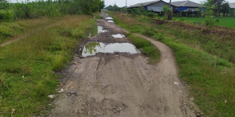 Miriis Jalan Provisinsi Sepanjang 2’5 KM Rusak Parah, Penghubung Indramayu – Cirebon