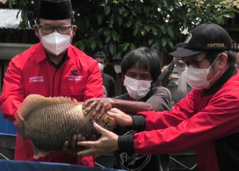 Bupati Serahkan Bibit Gurameh Kepada Pokdakan Sri Utama Singasari