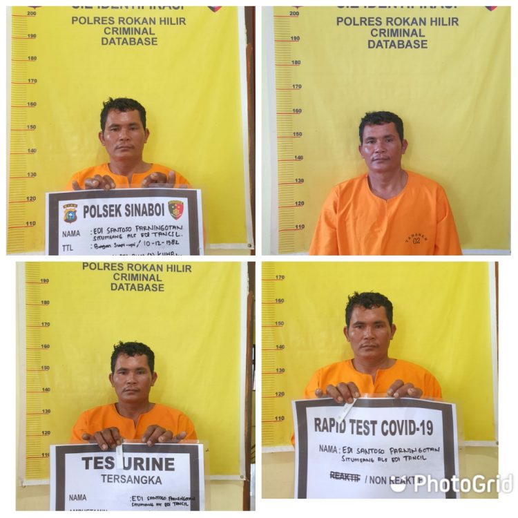 Tim Gabungan Polres Rohil Akhirnya Menangkap Pelaku Pembunuhan Alek Purba