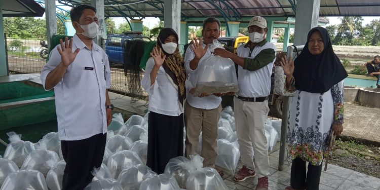 Poktan Ibu Pertiwi dan Komoditas Bio Tani di Desa Cikopomayak, Dapat Bantuan Benih Ikan