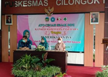 TP PKK Banyumas Gelar Sosialisasi dan Test IVA