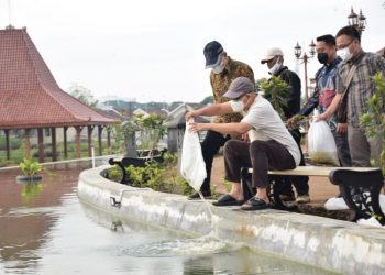 Bupati Tebar Ikan Nila di Taman Mas Kemambang