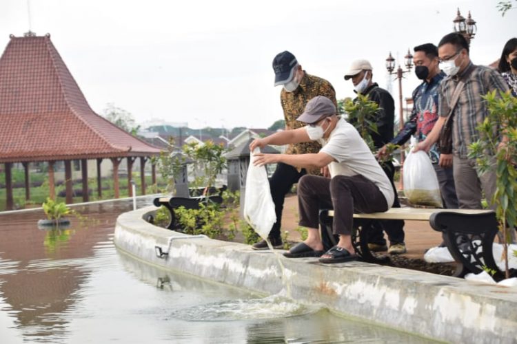 Bupati Tebar Ikan Nila di Taman Mas Kemambang