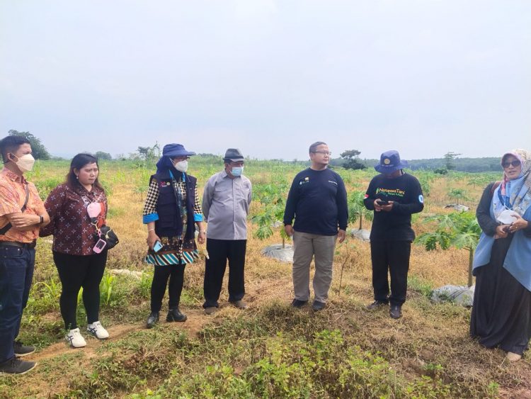 Pelatihan Program YESS Petani Milenial di Adakan di Desa Kadawung Kec.pabuaran kabupaten Subang