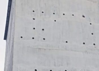 Penangkaran Sarang Burung Walet di Desa Perkebunan Teluk Panji Labusel Resahkan Warga, Diduga Tidak Miliki Izin