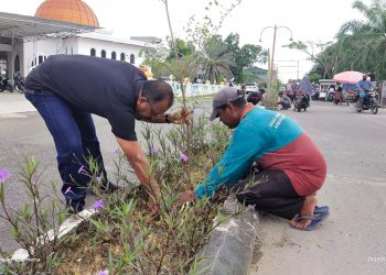 “Menjelang MTQ Tingkat Propinsi Riau dan Bakar Tongkang,Kadis LH Rohil, Laksanakan Kebersihan dan Keindahan Kota Bagansiapiapi “