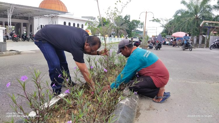 “Menjelang MTQ Tingkat Propinsi Riau dan Bakar Tongkang,Kadis LH Rohil, Laksanakan Kebersihan dan Keindahan Kota Bagansiapiapi “