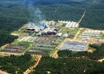 “Ini Rincian Pabrik Kelapa Sawit Tidak Memiliki Kebun Di Riau,Yang Paling Banyak di Kabupaten Rokan Hilir Riau “