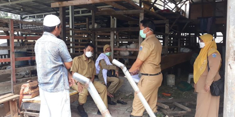 Cegah Penularan PMK, Penjual Hewan Kurban di Jakarta Utara Diimbau Patuhi SOP