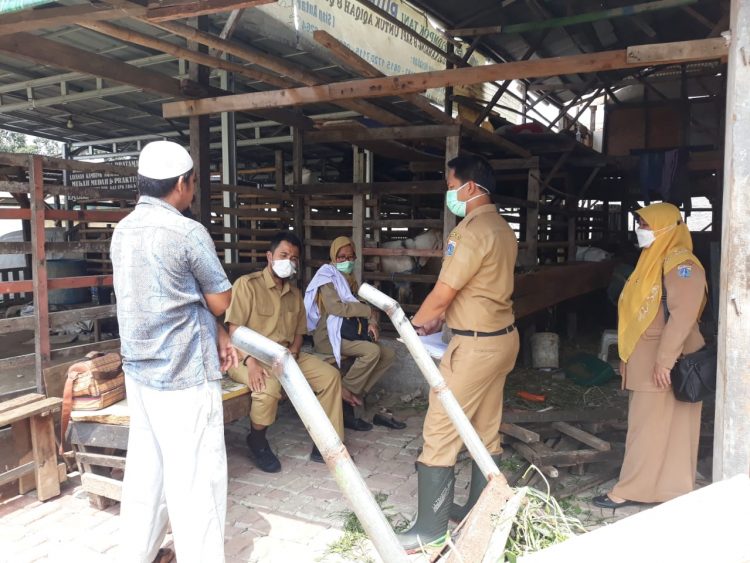 Cegah Penularan PMK, Penjual Hewan Kurban di Jakarta Utara Diimbau Patuhi SOP