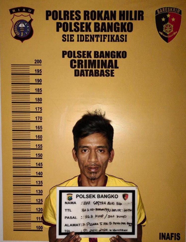 Curi HP Pelajar Sedang Belanja di Alfamart, Pengangguran di Ciduk Polsek Bangko