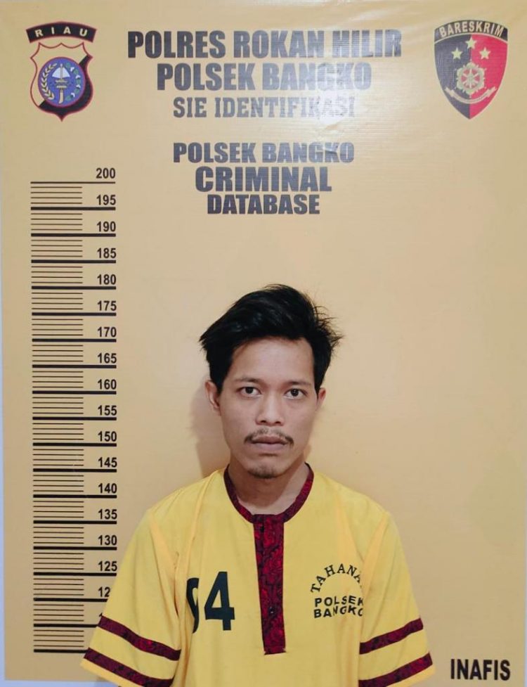 Perkosa Anak Dibawah Umur Setelah Minta Pertemanan di FB Dengan Iming-Imingkan Uang dan Boneka, Pengangguran Diringkus Polsek Bangko