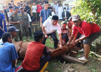 Pj Gubernur Al Muktabar: Daging Kurban Untuk Keluarga Dengan Stunting dan Gizi Buruk
