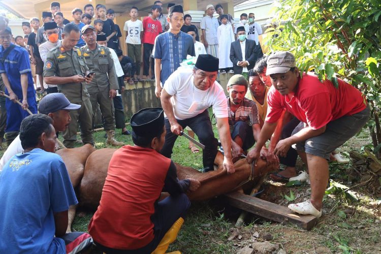 Pj Gubernur Al Muktabar: Daging Kurban Untuk Keluarga Dengan Stunting dan Gizi Buruk
