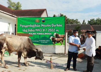 Polres Purbalingga Potong Hewan Kurban Idul Adha 1443 Hijriah