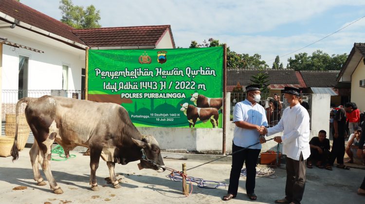 Polres Purbalingga Potong Hewan Kurban Idul Adha 1443 Hijriah