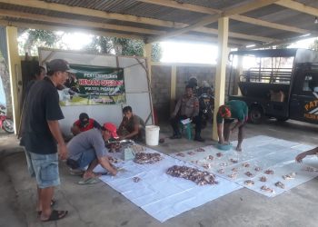 Potong Hewan Kurban, Polsek Padamara Bagikan untuk Warga Kurang Mampu