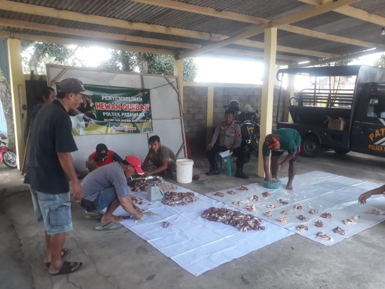 Potong Hewan Kurban, Polsek Padamara Bagikan untuk Warga Kurang Mampu