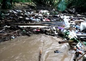 Video Tayangan Banjir Berisi Sampah Tebangan Bambu di kali Angka banjir, Anggota DPRD Tangsel  Gusar