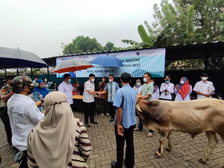 Penyaluran Hewan Qurban Warga Sekitar  PT.ANTAM Tbk UBPP Logam Mulia Tahun 2022 Idul Adha  1443 H