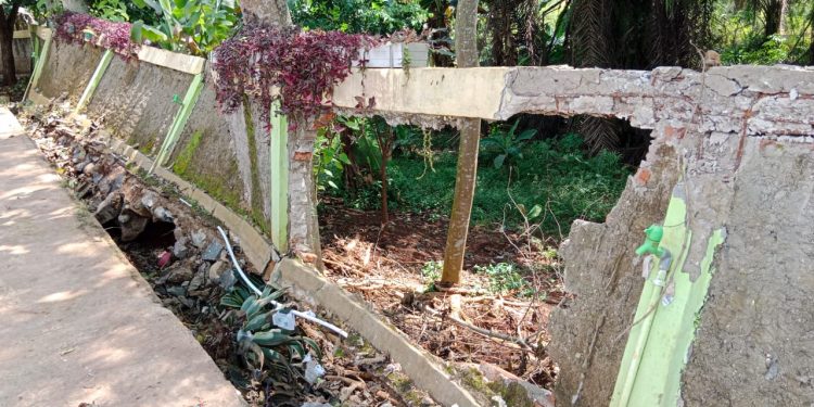 Tembok SDN Palasari 03 Roboh 2 Bulan Lalu, Membahayakan Anak Didik, Pihak Sekolah Berharap Sarpras Disdik Kabupaten Bogor Jangan Cuek