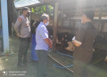 Polsek Kutasari Pantau Vaksinasi Hewan Ternak di Desa Limbangan