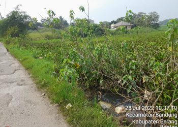 Warga Desa Bandung Kampung Cigatel Damping Mengeluh, Dampak Proyek Moderenland  Petani Sawah Merugi