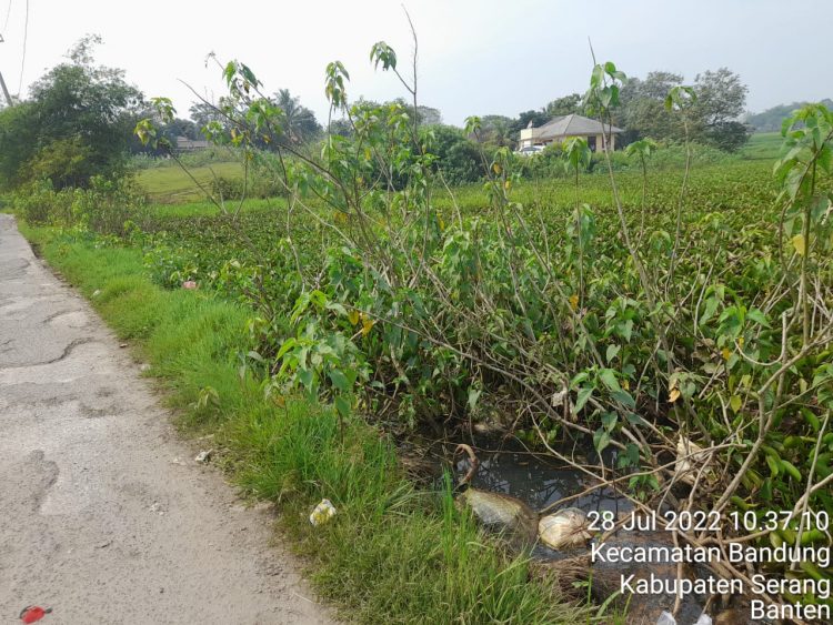 Warga Desa Bandung Kampung Cigatel Damping Mengeluh, Dampak Proyek Moderenland  Petani Sawah Merugi