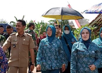 Istri Plt Bupati Bogor, Hj.Halimatu Sudiyah Iwan Kunjungi Desa Pasirangin Dalam Rangka Binda Program PKK