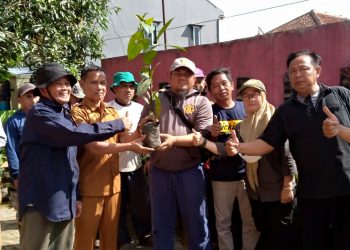 Bupati Subang Bagikan Bibit Tanaman Manggis Kepada Kelompok Tani