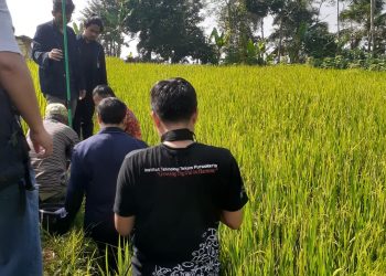Dosen IT Telkom Purwokerto Kenalkan Teknologi Pengusir Burung Untuk Petani