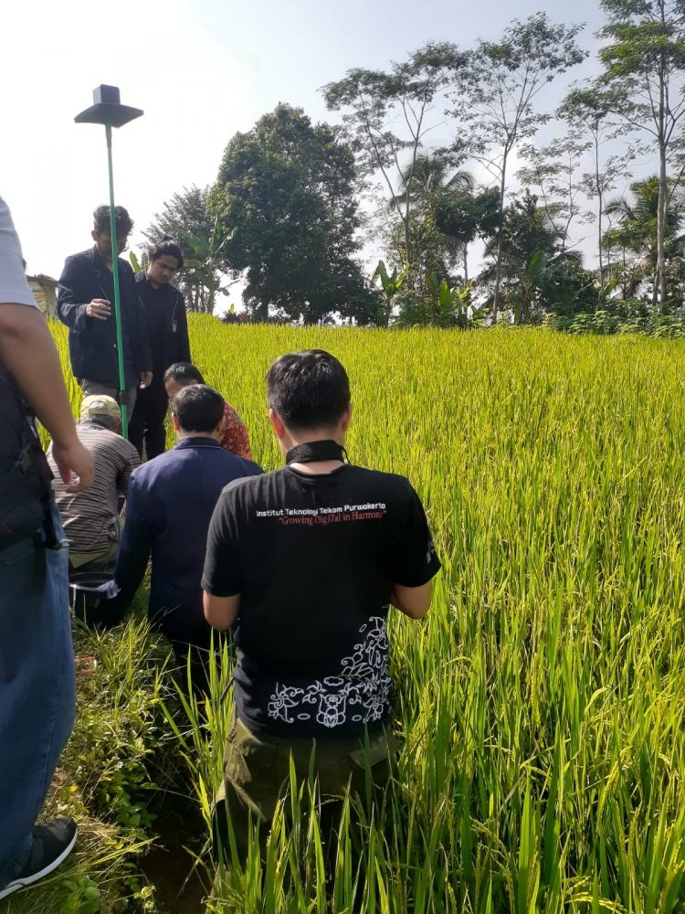 Dosen IT Telkom Purwokerto Kenalkan Teknologi Pengusir Burung Untuk Petani