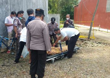 Warga Purbalingga Tewas Saat Bersihkan Kebun di Kaligondang