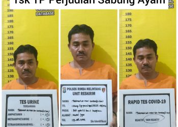 Terlibat Judi Sabung Ayam, Warga Kepenghuluan Mukti Jaya Ditangkap Polsek Rimba Melintang