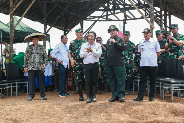 Pj Gubernur Banten Al Muktabar Mendampingi Wamentan dan Pangdam III Siliwangi Tanam Jagung Serentak