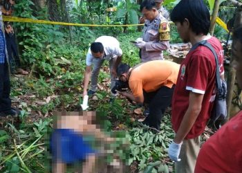 Jatuh dari Pohon Rambutan, Warga Kaligondang Purbalingga Tewas