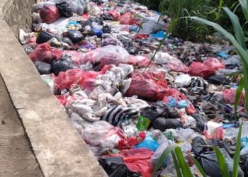 Kepala UPT Kebersihan Wilayah Jasinga, Bungkam Saat di Konfirmas, Terkait Tumpukan Sampah di Ruas Jalan Jasinga – Tenjo.