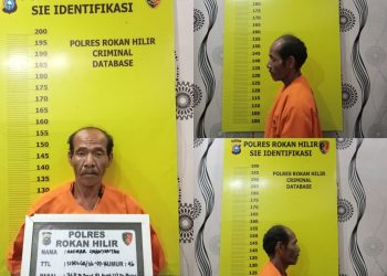 Ayah Cabuli Anak Tiri Dibawah Umur di Ringkus Sat Reskrim Polres Rokan Hilir