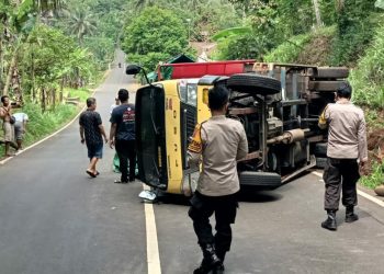 Truk Bermuatan Pakan Ternak Terguling di Kejobong