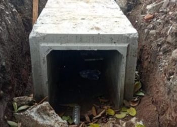 CBA Sebut Proyek Peningkatan Trotoar Keliling Alun-Alun Pemkot Bogor Sangat Tidak Efisien Dan Berpotensi Merugikan Keuangan Negara