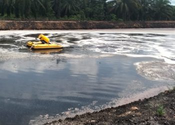 PKS di Banko Permata Kecamatan Bangko Pusako Warga Jadi Resah Karena Limbah