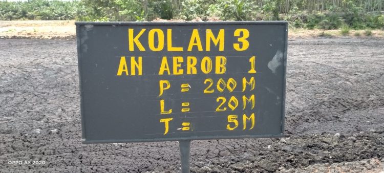 PKS PT BBS Bangko Permata Diduga Buang Limbah ke Tanah Warga Dan Dana CSR Tidak Ada Sama Sekali
