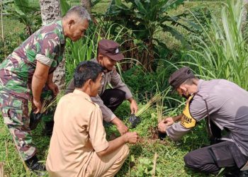 Bhabinkamtibmas Polsek Kutasari Bersama Babinsa dan Perangkat Desa Tanam Pohon Akar Wangi