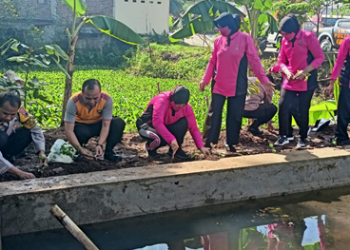 Dukung Ketahanan Pangan, Polsek Mrebet Budidaya Ikan dan Tanam Sayuran