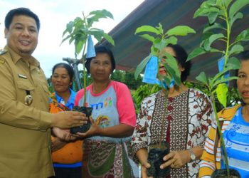 Bupati Samosir Serahkan Bibit Alpukat Program Pengembangan Kampung Buah