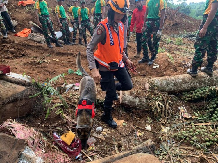 Satu Anjing Pelacak Temukan Titik Diduga Korban Tertimbun Longsor Cianjur