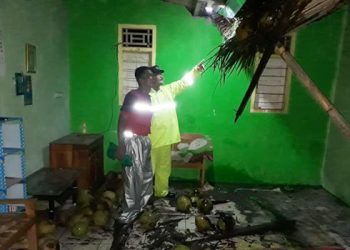 Hujan Angin, Pohon Tumbang Timpa Rumah Warga di Pengadegan
