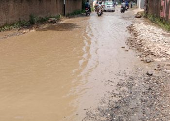 Jalan Kabupaten Bogor di Desa Cipeucang-Jatisari, Perbatasan Kabupaten Bekasi Rusak Parah, Warga Berharap Bupati Dan DPRD Terhormat Perhatiannya