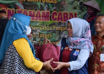 Lakukan Gerakan Tanam Cabai, Erna Husein Berharap Dapat Menstabilkan Harga Cabai